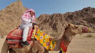 Camel ride at saudi arabia