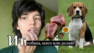 10 ТАТАРСКИХ ФРАЗ -изучаем татарский язык весело и легко🥳