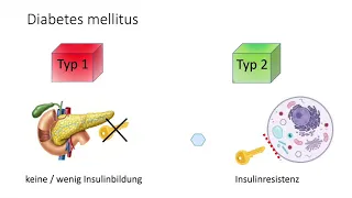 Lernvideo Vergleich Diabetes mellitus Typ 1 und Typ 2