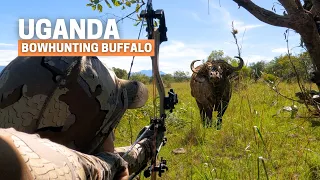 Bowhunting Buffalo in Karamoja: Wildest hunt I have experienced!