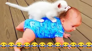 Funniest Animals new funny cats and dogs videos | Funny Animal fails 2024 | Funny Animals clean 2024