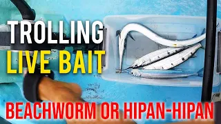 Hipan-hipan or Beachworm effective talaga pamain | J.I. Joe Fishing TV