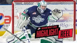 2017-18 HIGHLIGHT REEL | Matt Berlin