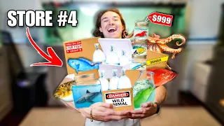I BOUGHT FISH From EVERY FISH STORE...