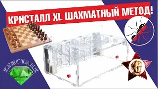 Ant farm Crystal XL. and CHESS ASSEMBLY method!