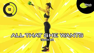 Tabata Music - All That She Wants (Tabata Mix) w/ Tabata Timer