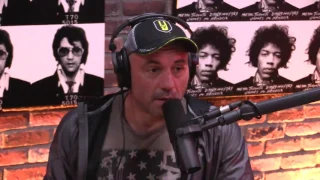 Joe Rogan on Money in Fighting, Conor McGregor vs  Floyd Mayweather