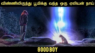 நல்ல பையன்! (2003) திரைப்படத்தின் விளக்கம் by Movie Multiverse