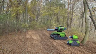 Tanks a lot - Forest Training