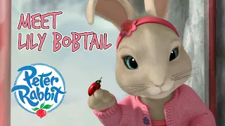 @OfficialPeterRabbit - Meet Lily Bobtail 🐰 🔎 🎀  | Character Best Bits | Cartoons for Kids