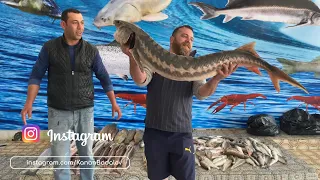 17 килограммовый  осетр .Разделка и Приготовление. 38 Pounds Sturgeon. Butchering and cooking