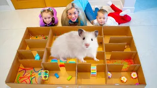 🐹HAMSTER Escapes The Awesome MAZE for Pets in real life