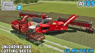 Harvesting and Cutting Beets, Purchasing Remaining Land | Elmcreek Farm | FS 22 | Timelapse #169