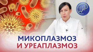 Микоплазма и уреаплазма. Лечить или не лечить микоплазмоз и уреаплазмоз, выявленные при беременности