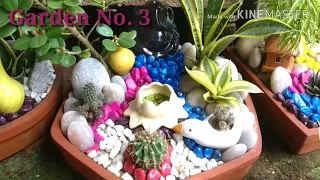 Make a Table Top Garden/ Miniature garden  at your Home.