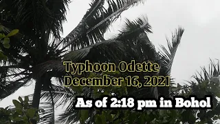 December 16, 2021 Typhoon Odette || Bohol Update