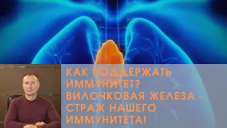 КАК ПОДДЕРЖАТЬ ИММУНИТЕТ? ВИЛОЧКОВАЯ ЖЕЛЕЗА - СТРАЖ НАШЕГО ИММУНИТЕТА!