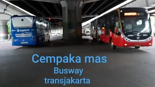 Cempaka mas, Busway -transjakarta