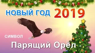 Новый год 2019! Символ свинья и парящий орел