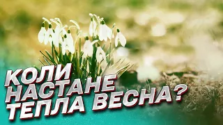 🌷 Давайте вже весну! Коли в Україні потепліє?