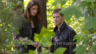 KLAUS & HAYLEY - "If i were dying on my knees"