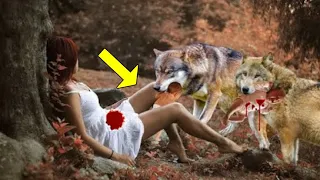 The Wolf Pulled the Child out of the Mother's Womb. What Happened Next Shocked the Residents!