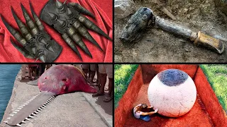 Most Incredible Recent Archaeological Discoveries!