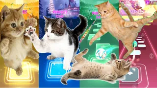 Cute Cats - BTS - Savage Love & Fake Love Vs Imagine Dragons - Enemy & Believer - Tiles Hop EDM Rush