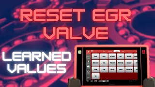 How to reset EGR valve learned values - Ford Focus 1.6 16V TDCI