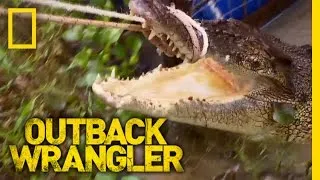 Giant Croc Catch | Outback Wrangler