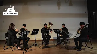Gabriel's Oboe - Ennio Morricone' TesNus Brass quintet