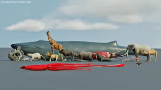 Animal Size comparison 3D (200+ Animals)