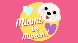 Hi! I'm Miami! 🐾 Welcome to my channel! XOXO