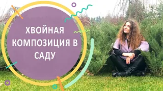 ХВОЙНАЯ КОМПОЗИЦИЯ В САДУ | Ландшафтный дизайн