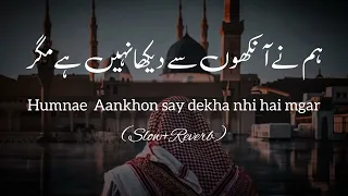 Humne Aankhon say dekha nhi hai magr Naat Very Beautiful voice (Slow+Reverb)