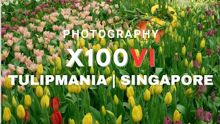 X100VI and Tulipmania at Gardens by the bay, Flower Dome | Portra 400 | OSMO Pocket 3