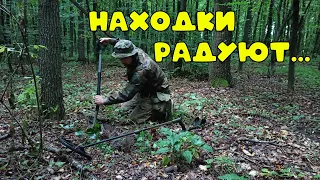 Находки в лесу удивили даже меня! Древности под ногами