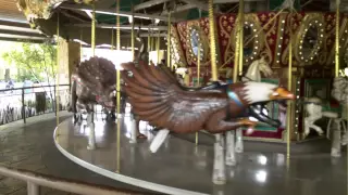 Dallas zoo carousel