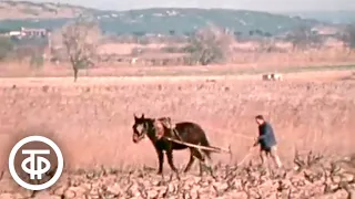 Испания весной 1976-го. Документальный фильм (1976)