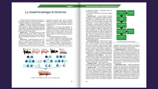 Промо-ролик ПНП Технологія виробництва  і переробки продукції свинарства