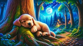 Relaxing Deep Sleep Music 💤 Piano & Birdsong, Ease Stress & Anxiety, Sleep Well and Deeply