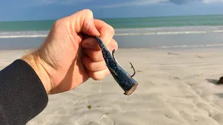 This Bait Will Always Catch Fish !?! Chasing a BIG Snapper Landbased EP 3