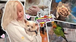 We Go To a Pet & Animal Expo! (Vlog)