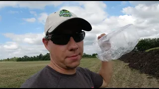 Preparing to spread MANURE on ORGANIC ALFALFA