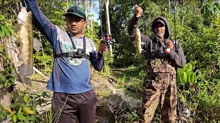 Jungle Fishing Adventure  - Suriname