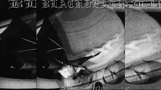 BLACKDEATH - SATURN SECTOR - FULL ALBUM 1998 (RE-ISSUE 2002)