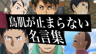 【名場面・名言集】感動・勇気・心に刺さるアニメハイキュー名言集　（挑戦しようか迷っているあなたへ）