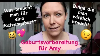 Was brauche ich wirklich für eine Katzengeburt? | Geburtsvorbereitung Amy (14.10.21) || Uschi Time