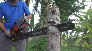 chainsaw 2 tak cuma 850 rebu.. ediann!! - tes dan review supra SPR6800 expert gasolin chainsaw 22"