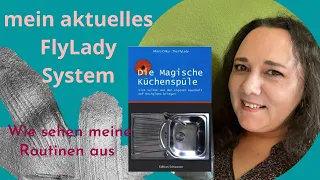 MEIN FlyLady deutsch, meine Routinen, Zusammenfassung, Haushalt im Griff, Himbeere süßsauer